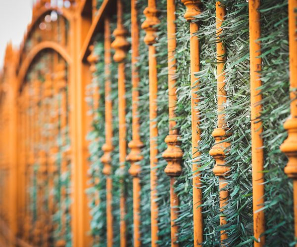 Metal fence in the city